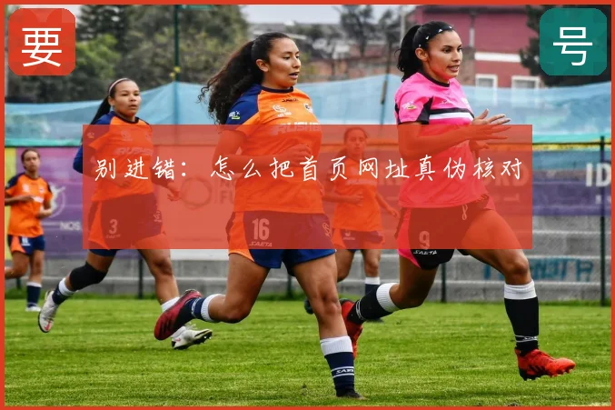 别进错:怎么把首页网址真伪核对