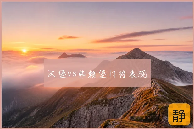汉堡vs弗赖堡门将表现